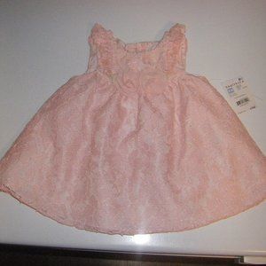 Healthtex Pink Flower Lace Lined Dress 3-6 Months